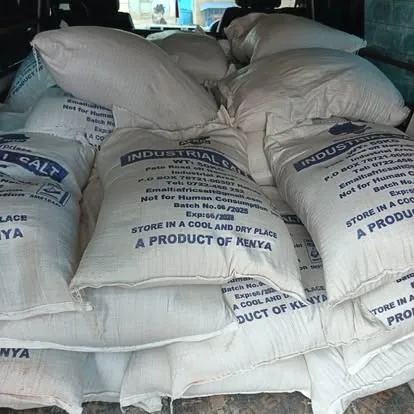 Fifty-kilo sacks of industrial salt stacked in a delivery van